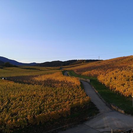L'Horizon Διαμέρισμα Bergheim Εξωτερικό φωτογραφία