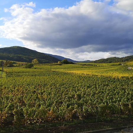 L'Horizon Διαμέρισμα Bergheim Εξωτερικό φωτογραφία